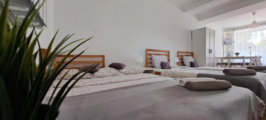 Apartament Na Szkolnej, nocleg blisko dworca Zator Park Rozrywki