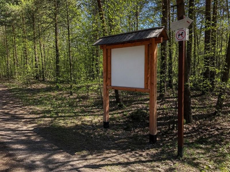 Ścieżka poznawcza na Piaseczną Górę, atrakcja w pobliżu dworca Zwierzyniec